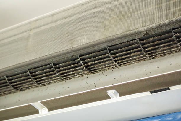 Best Air Duct Cleaning Near Me  in Prescott, AZ